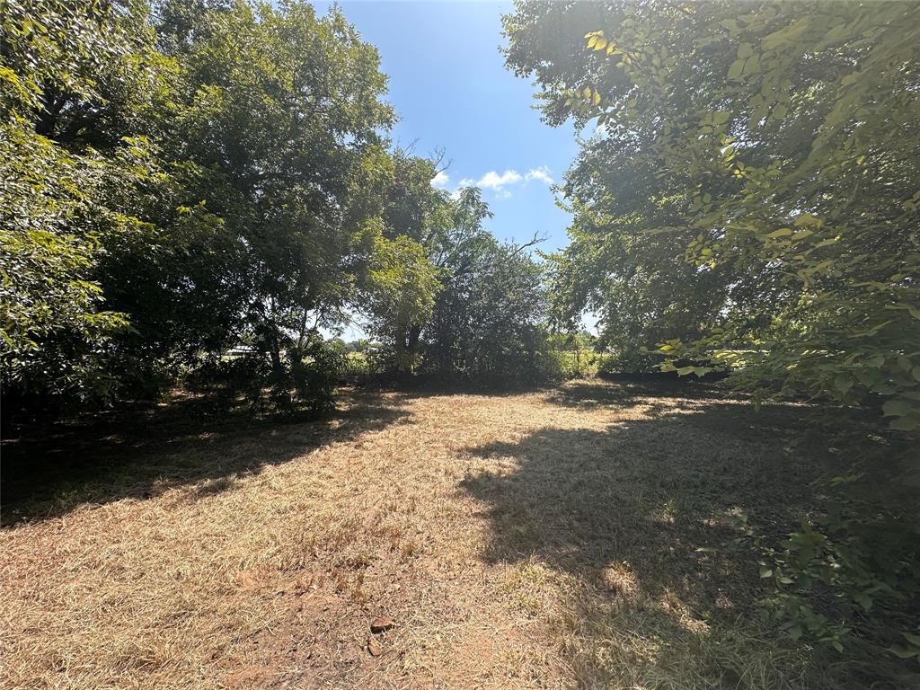 955 Lcr 463 Property Photo 5