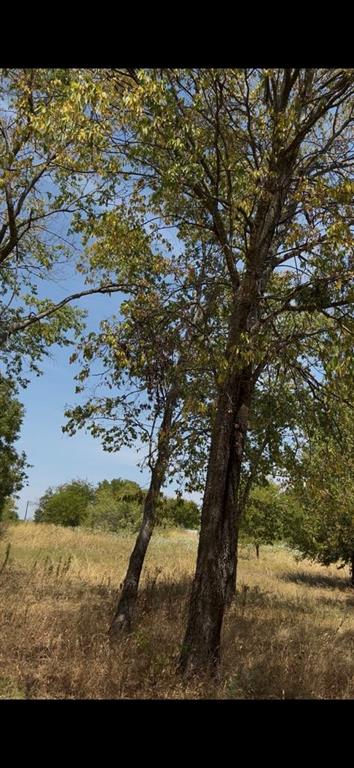 103313 Hillside Circle Property Photo 2