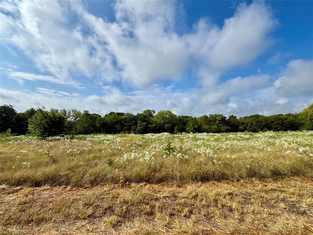 Tbd Lot 2 Cr 3356 Property Photo 3