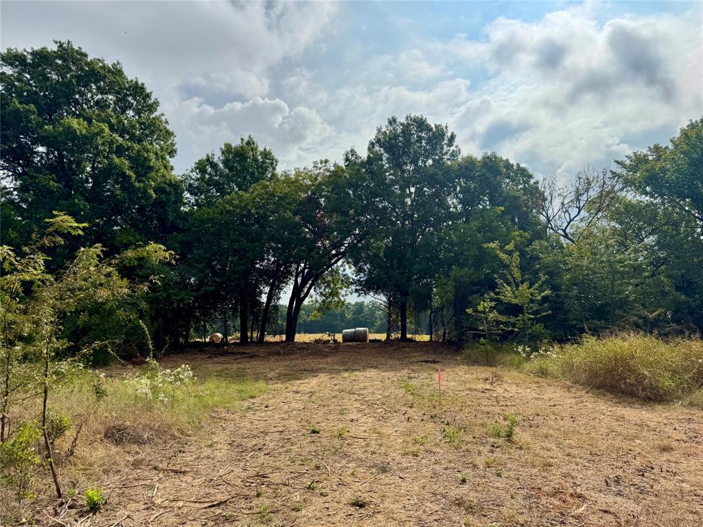 Tbd Lot 2 Cr 3356 Property Photo 4