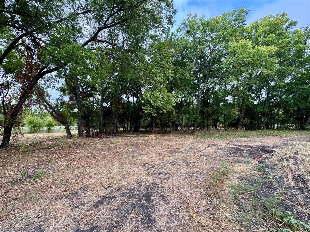 Tbd Lot 2 Cr 3356 Property Photo 6