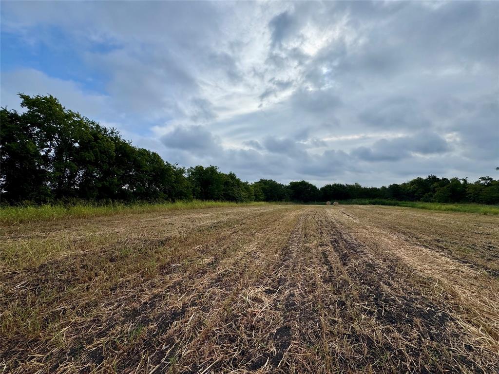 Tbd Lot 2 Cr 3356 Property Photo 7