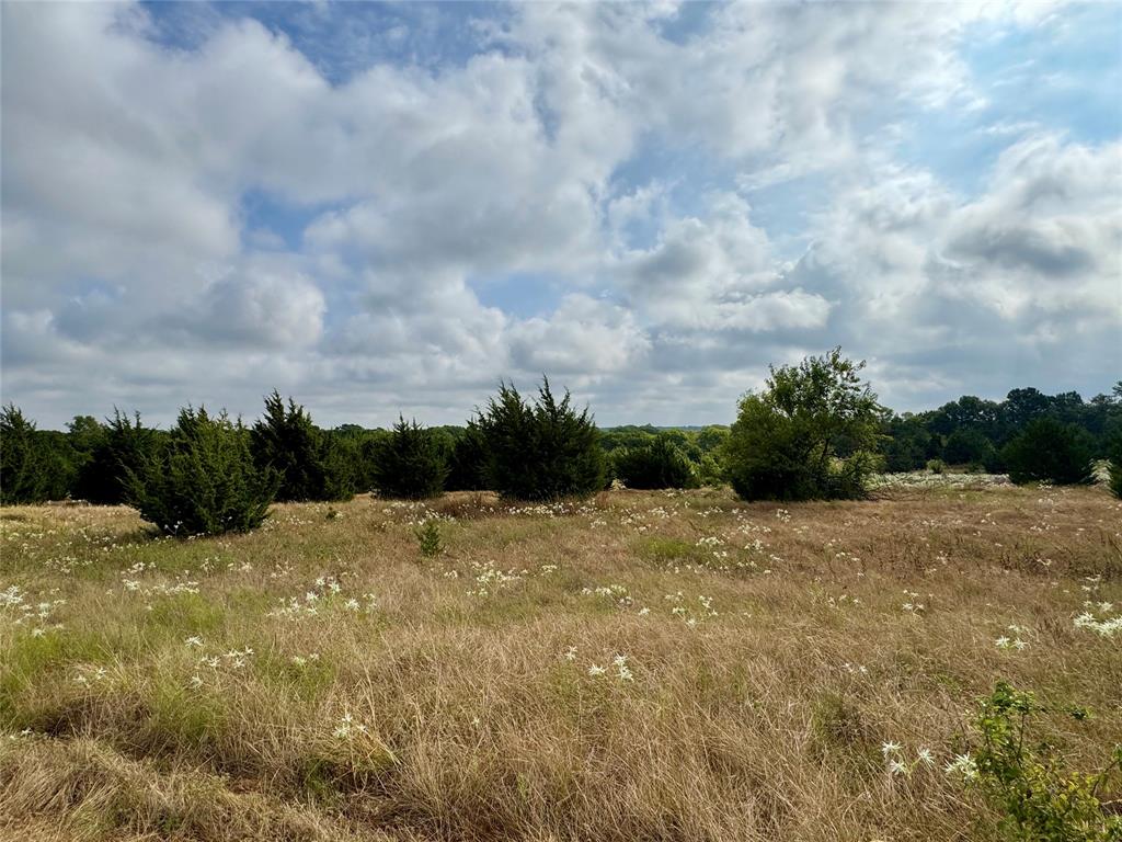 Tbd Lot 2 Cr 3356 Property Photo 8