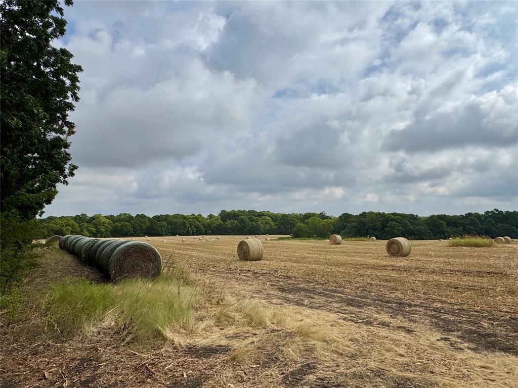 Tbd Lot 2 Cr 3356 Property Photo 9