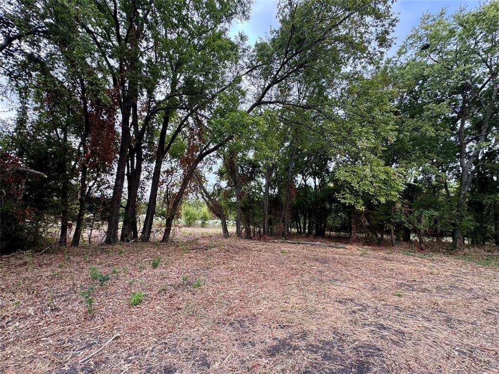 Tbd Lot 2 Cr 3356 Property Photo 10