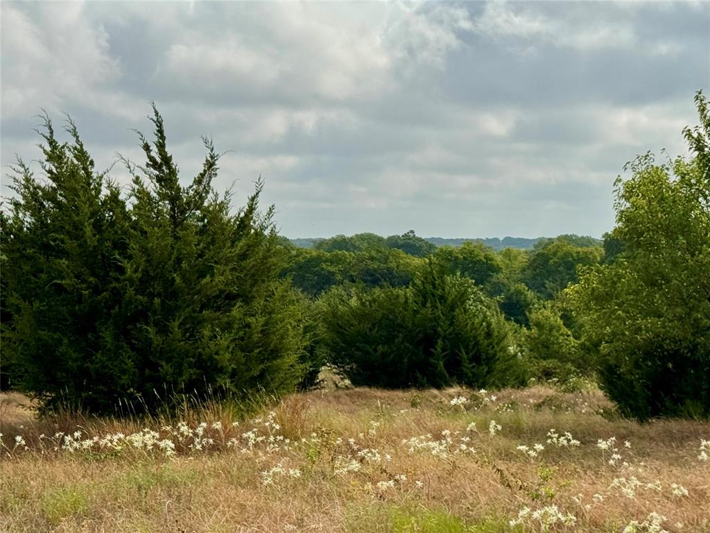 Tbd Lot 2 Cr 3356 Property Photo 11