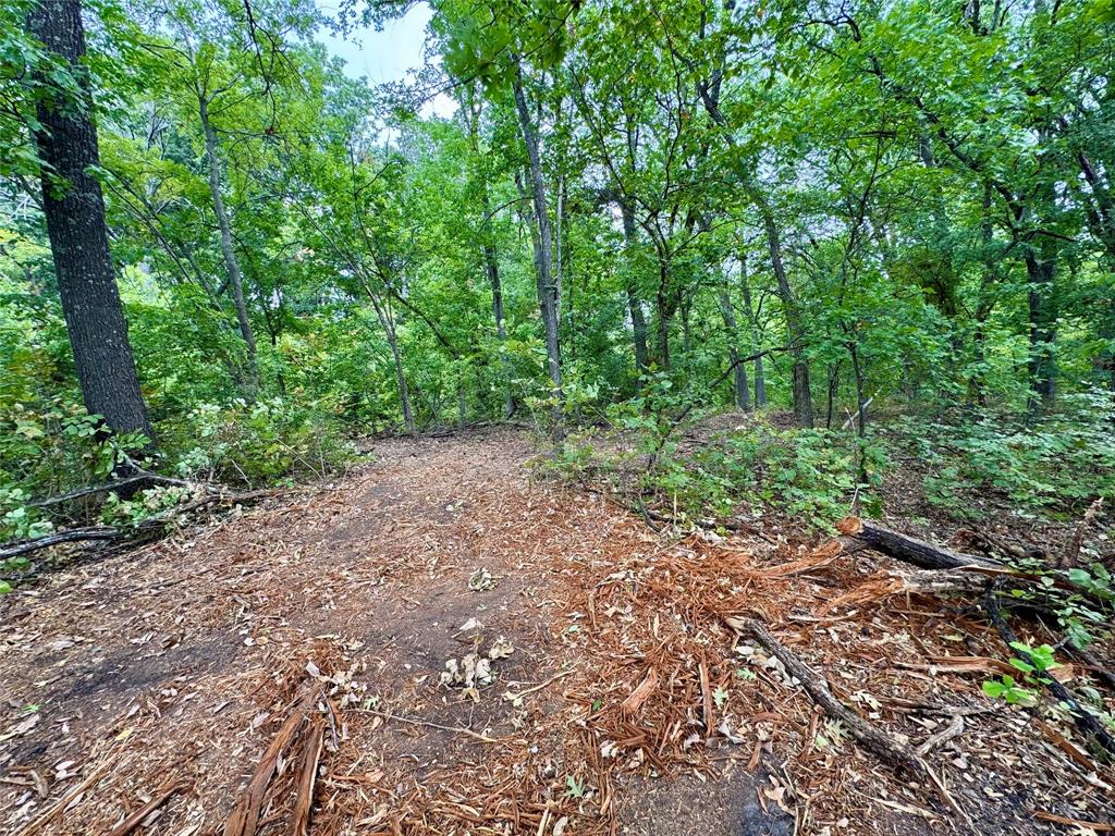 Tbd Lot 2 Cr 3356 Property Photo 13