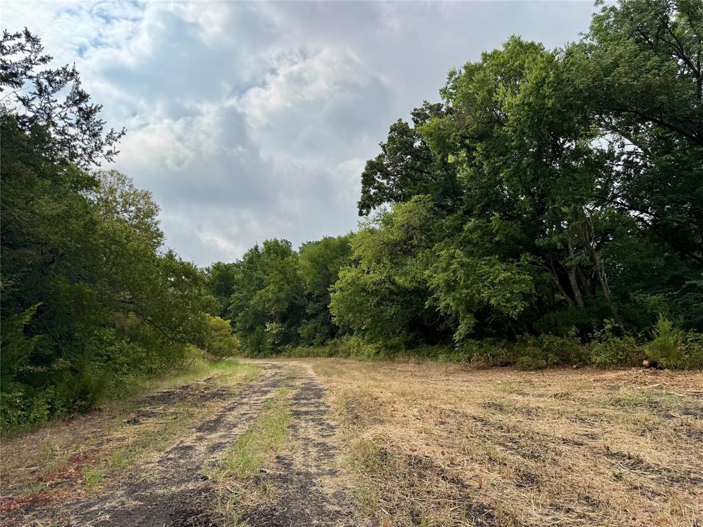 Tbd Lot 2 Cr 3356 Property Photo 14