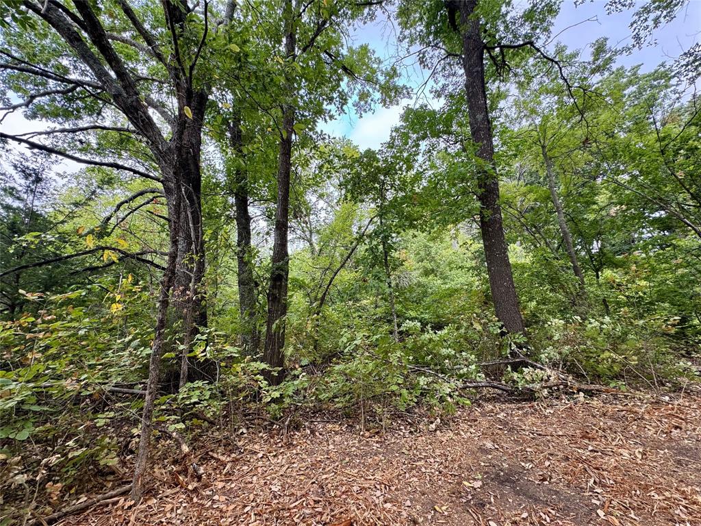 Tbd Lot 2 Cr 3356 Property Photo 15