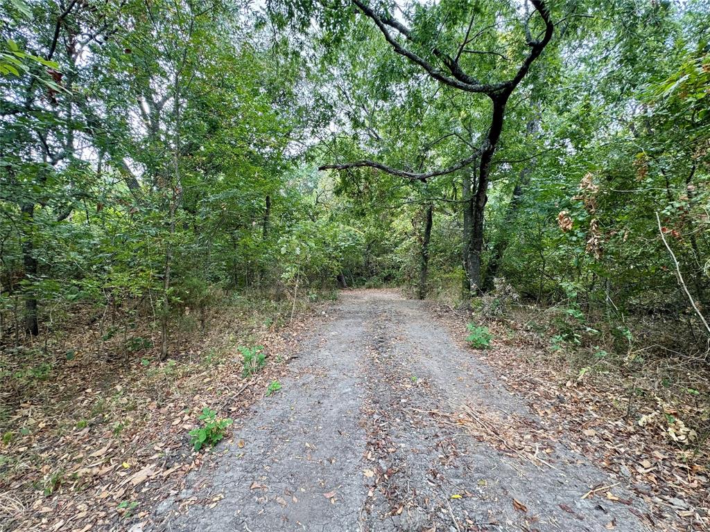 Tbd Lot 2 Cr 3356 Property Photo 16