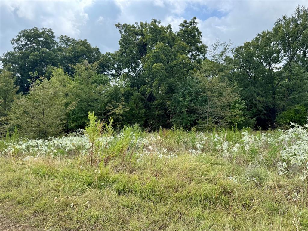 Tbd Lot 2 Cr 3356 Property Photo 17