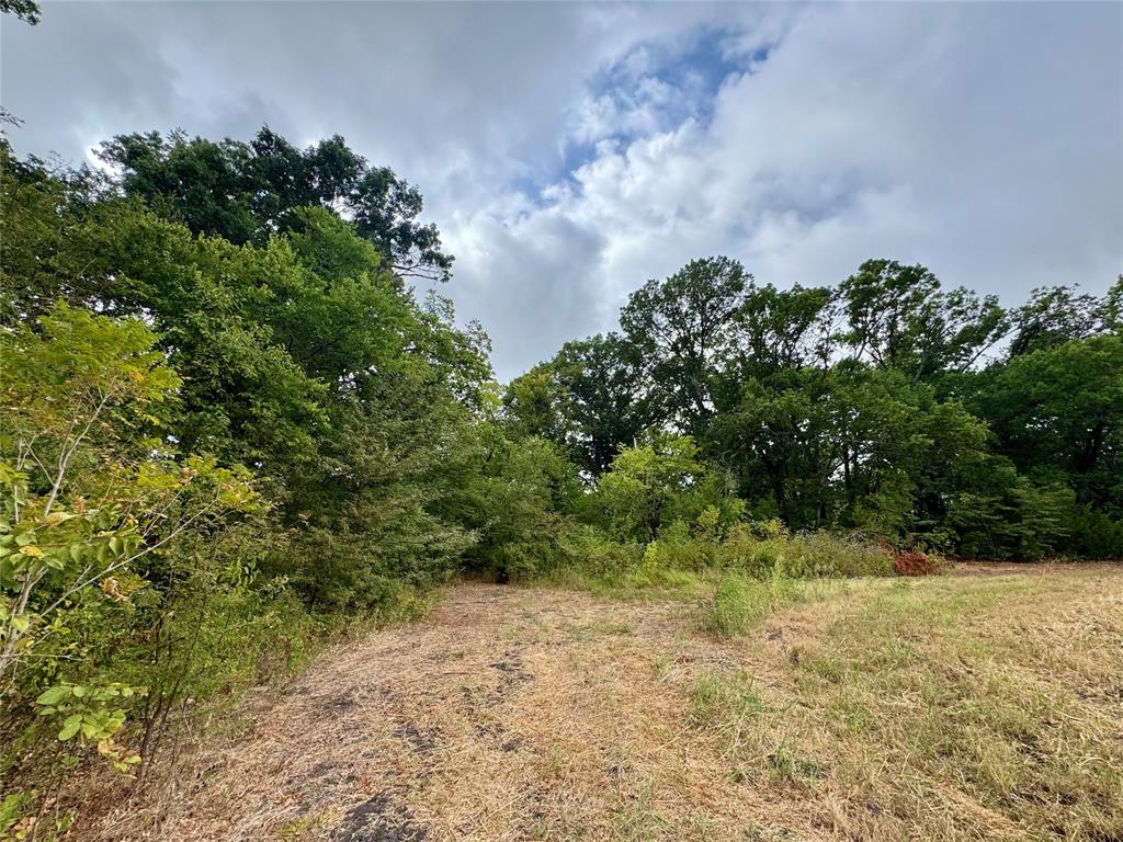 Tbd Lot 2 Cr 3356 Property Photo 18