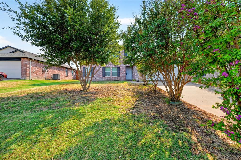 4209 Boxwood Drive Property Photo 37