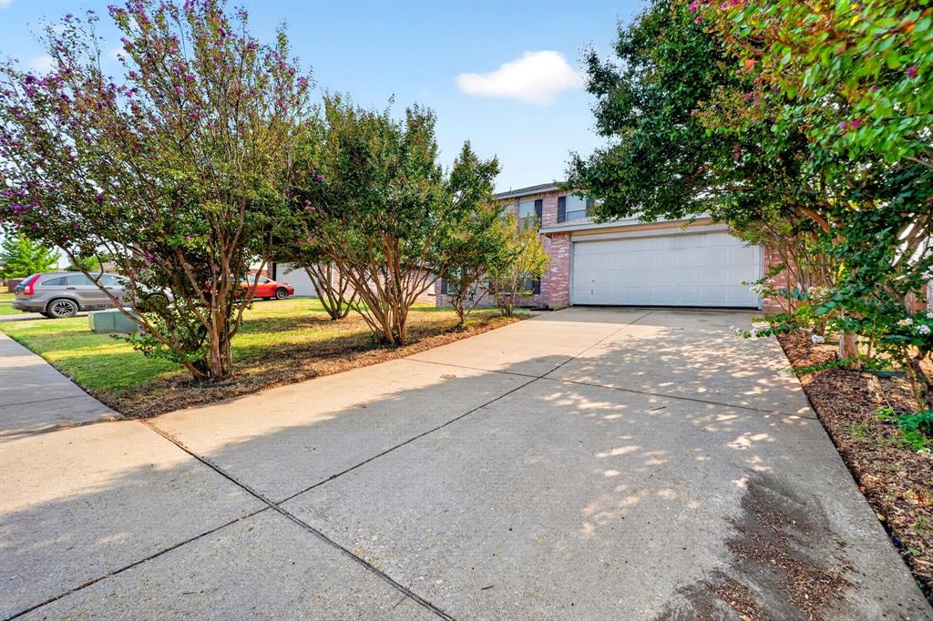 4209 Boxwood Drive Property Photo 39
