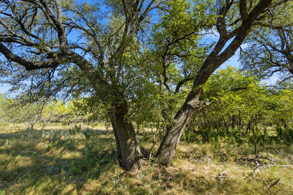3100 County Road 153 Property Photo 23
