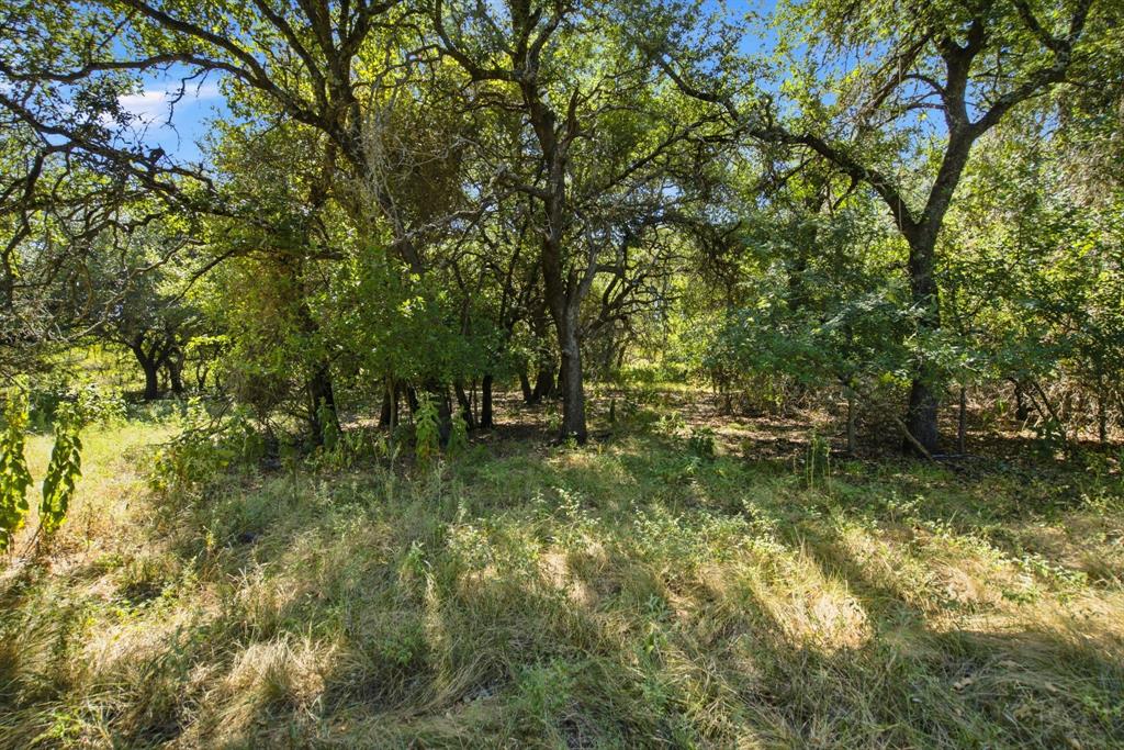 3100 County Road 153 Property Photo 24