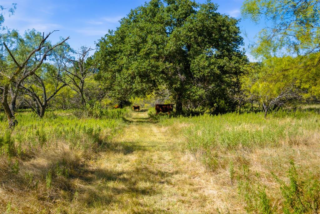 3100 County Road 153 Property Photo 25