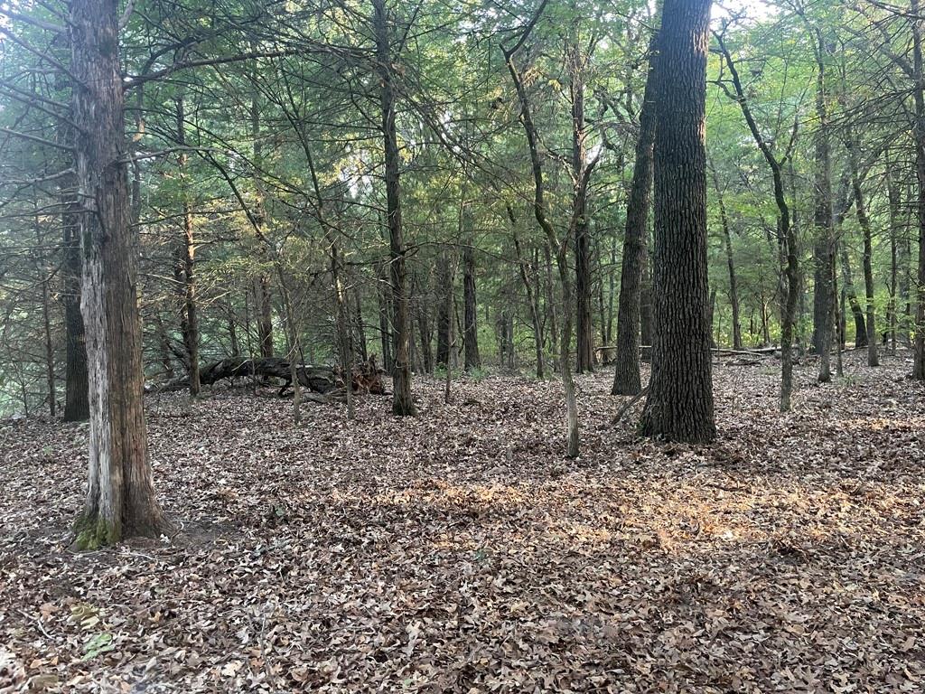 Lot 36 Cr 1200 Property Photo 7