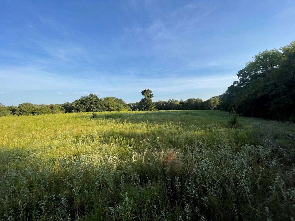 Lot 36 Cr 1200 Property Photo 12