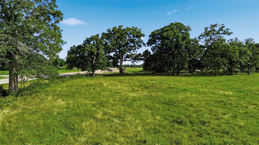 Tbd Fm 1531 Property Photo 1
