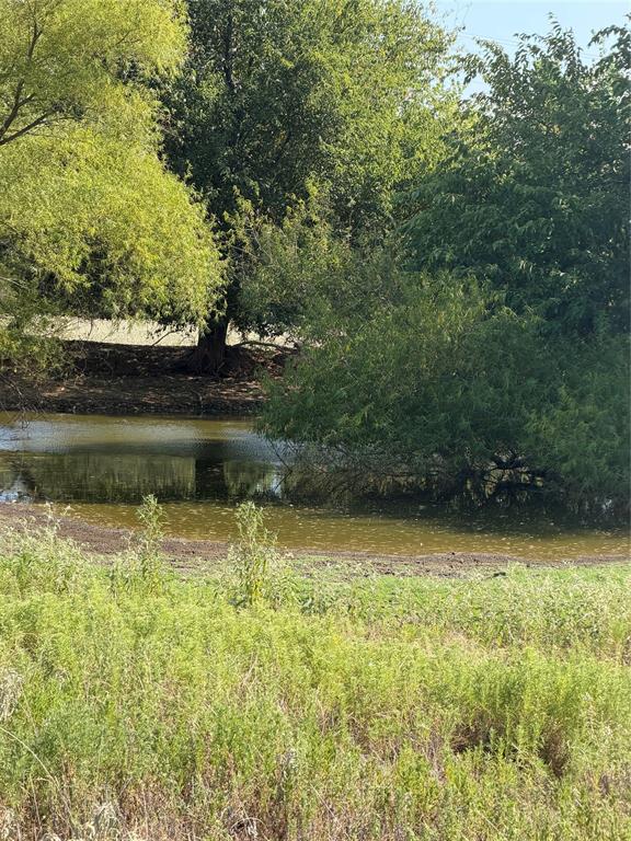 Tbd County Road 3707 Property Photo 5