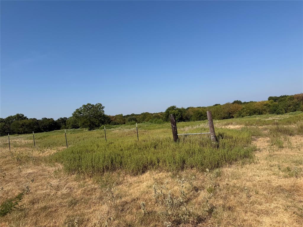 Tbd County Road 3707 Property Photo 7