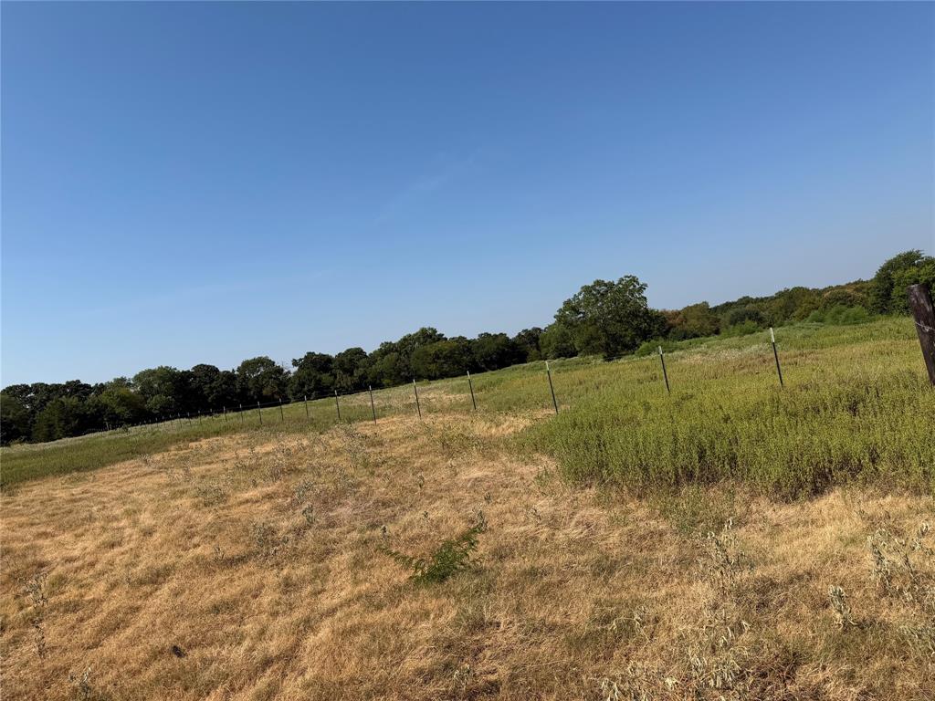Tbd County Road 3707 Property Photo 8