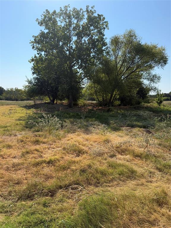 Tbd County Road 3707 Property Photo 12