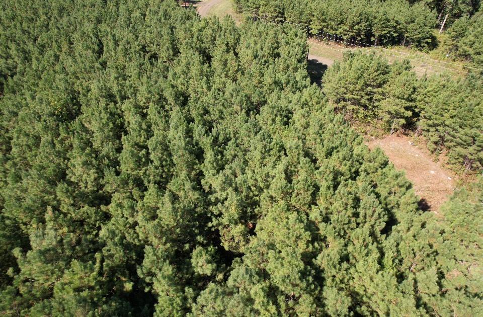 Tbd Pr 8263 Property Photo 14