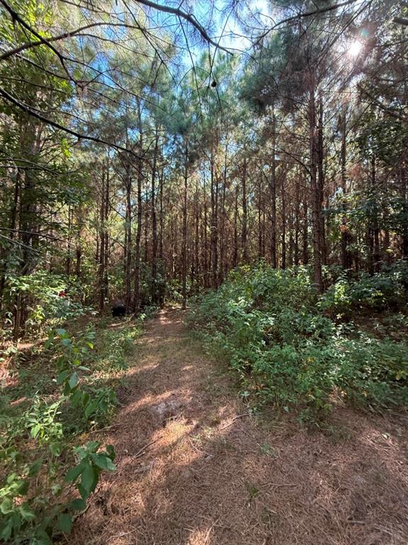 Tbd Pr 8263 Property Photo 19