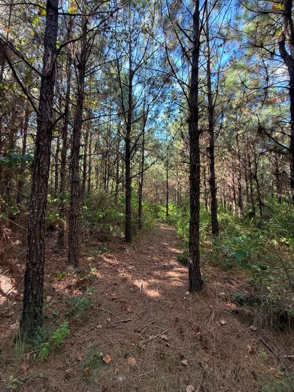 Tbd Pr 8263 Property Photo 20
