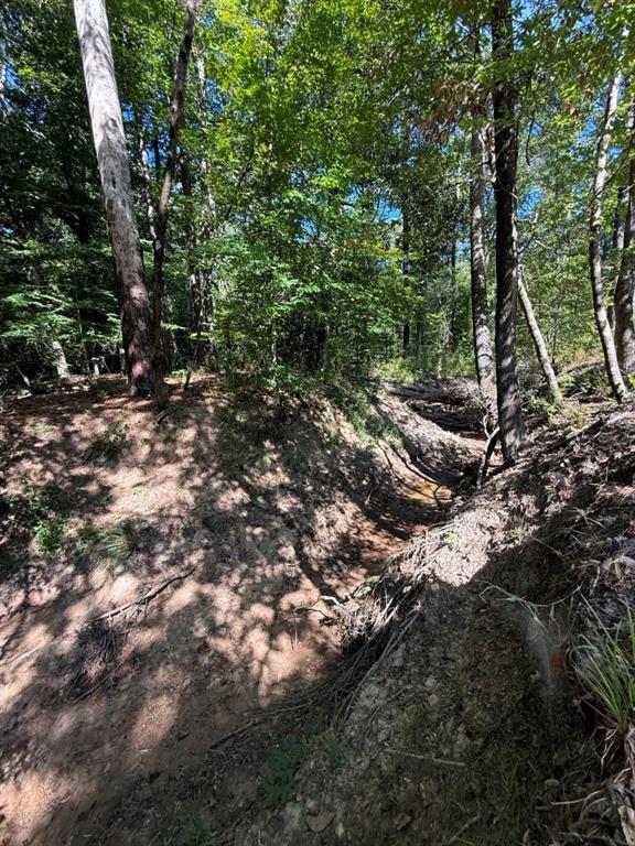 Tbd Pr 8263 Property Photo 22
