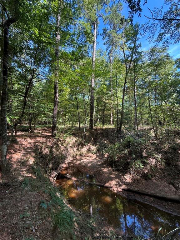 Tbd Pr 8263 Property Photo 24