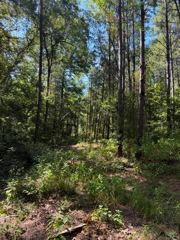 Tbd Pr 8263 Property Photo 25