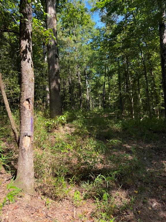 Tbd Pr 8263 Property Photo 29