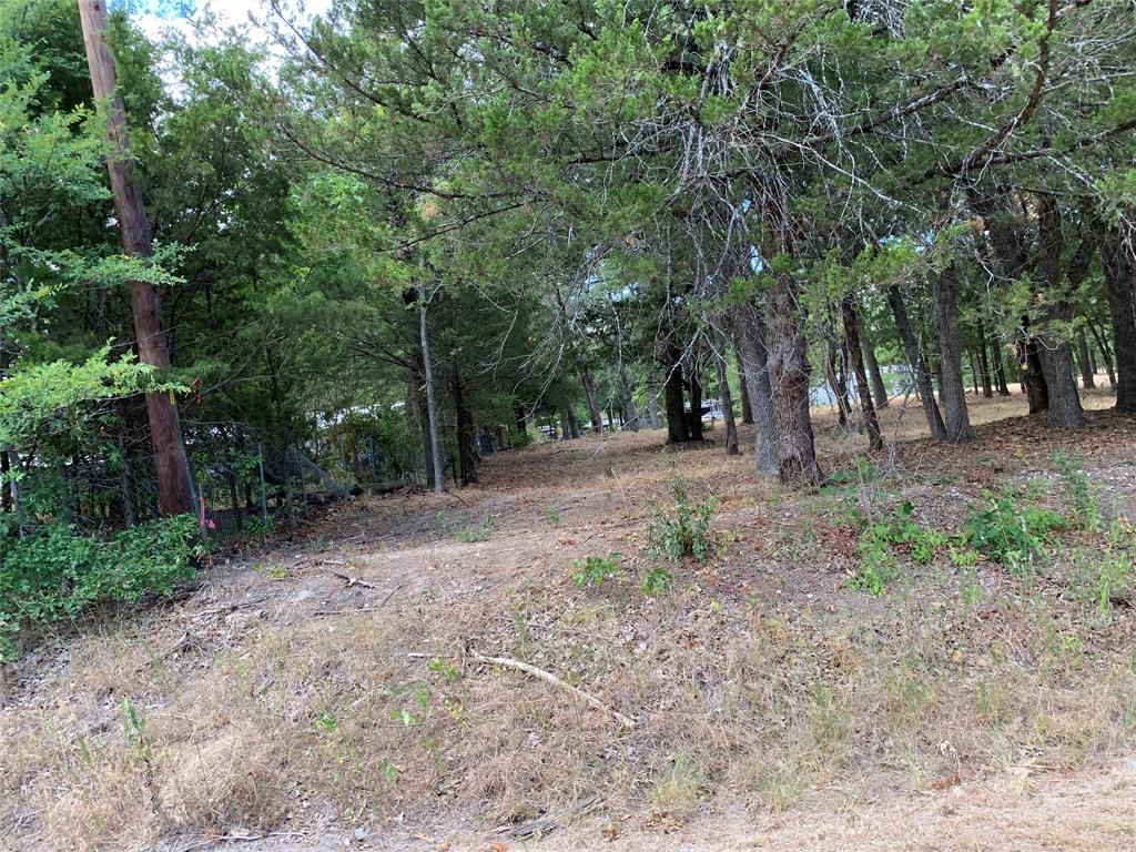 3294 Cedar Bend Property Photo 6