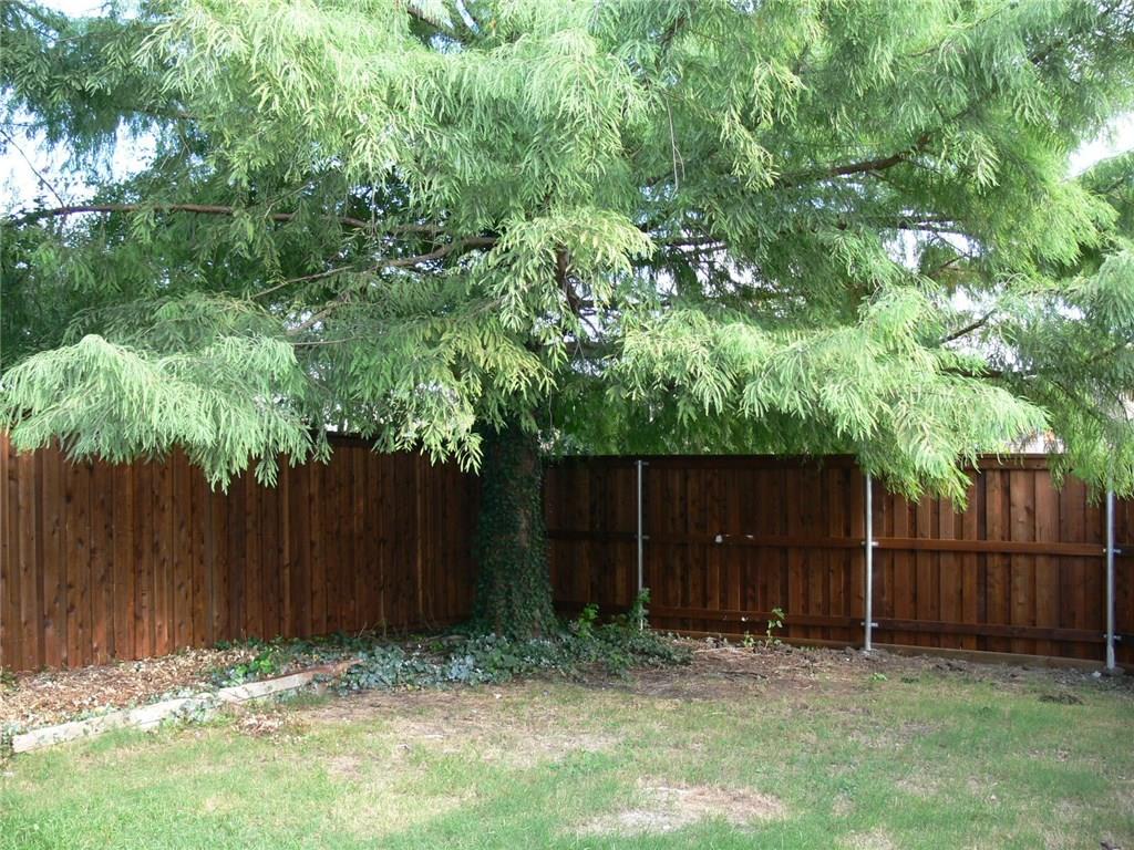 4917 Silverweed Drive Property Photo 27