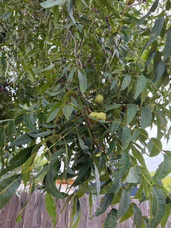4403 Westridge Drive Property Photo 33
