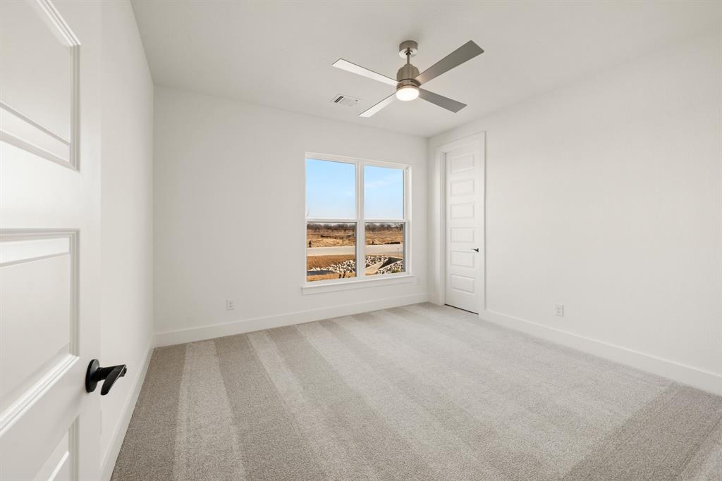 167 Springfield Street Property Photo 34