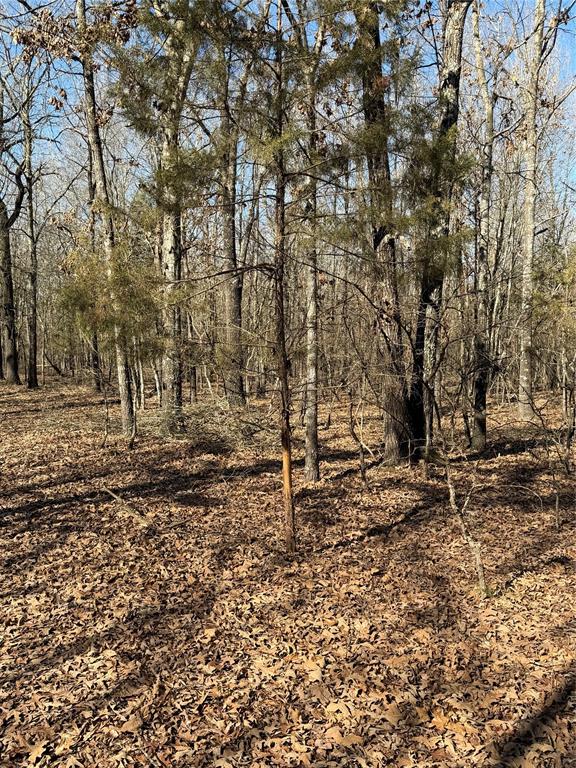 3055 Fm 194 Property Photo 8