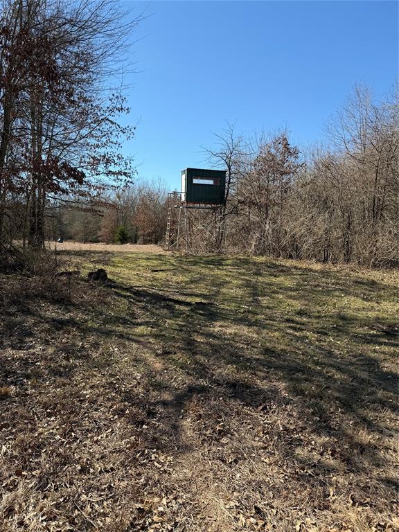 3055 Fm 194 Property Photo 9