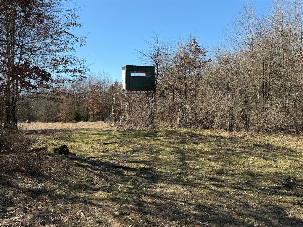 3055 Fm 194 Property Photo 11