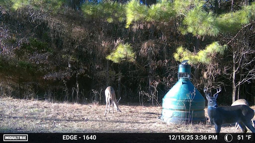 3055 Fm 194 Property Photo 24