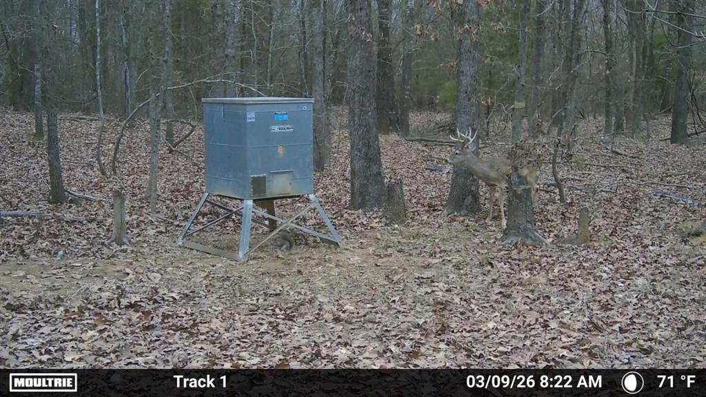 3055 Fm 194 Property Photo 26