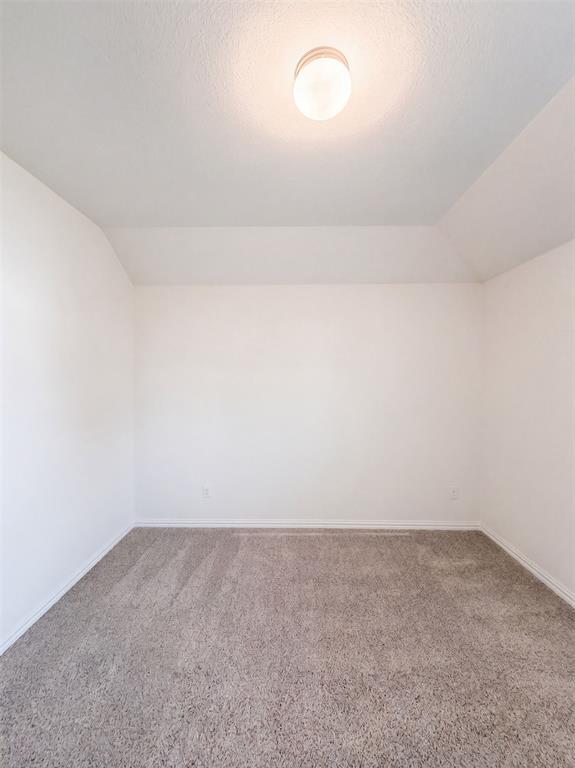 1421 Prairie Lake Court Property Photo 14