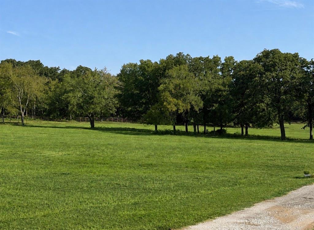 Tbd Springs Road Property Photo 2