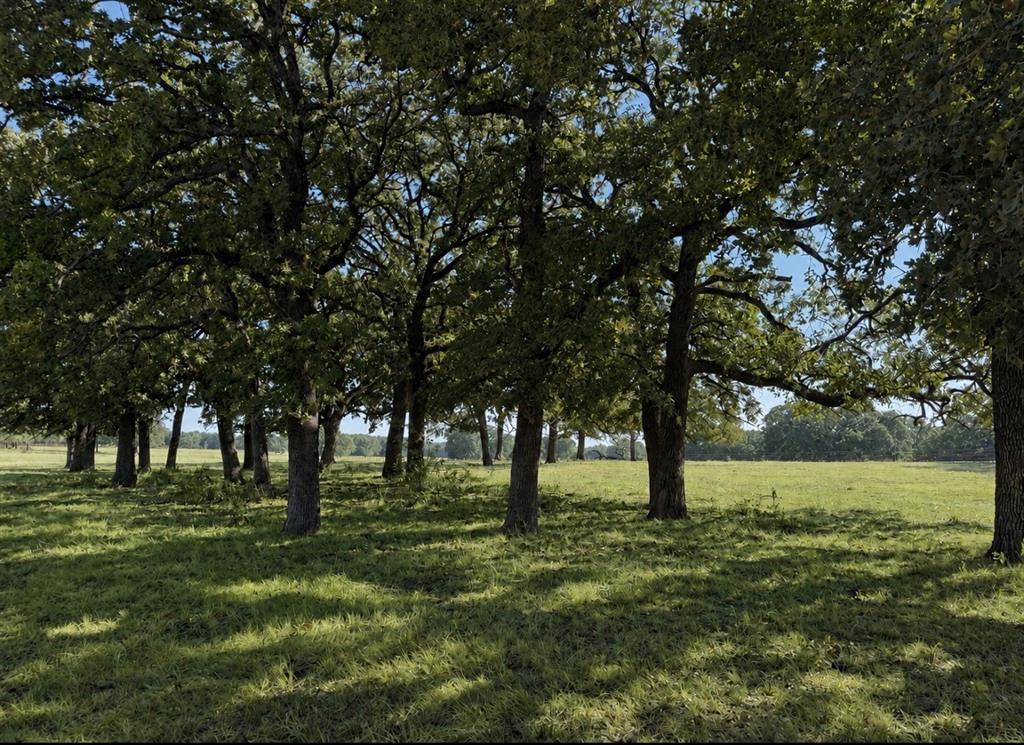 Tbd Springs Road Property Photo 3