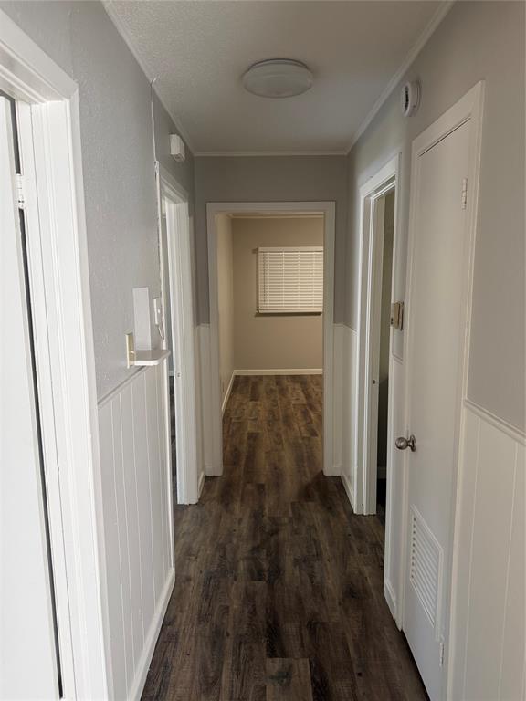 1009 Cedar Street Property Photo 7
