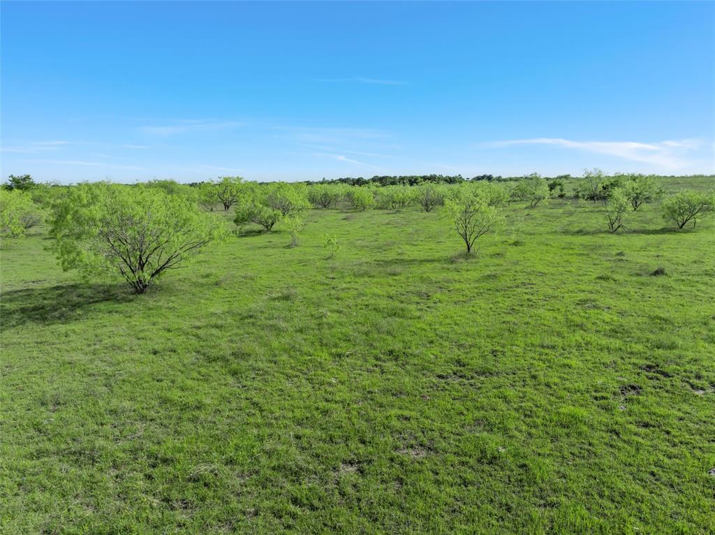 Tbd 7 Mile Lane Property Photo 5
