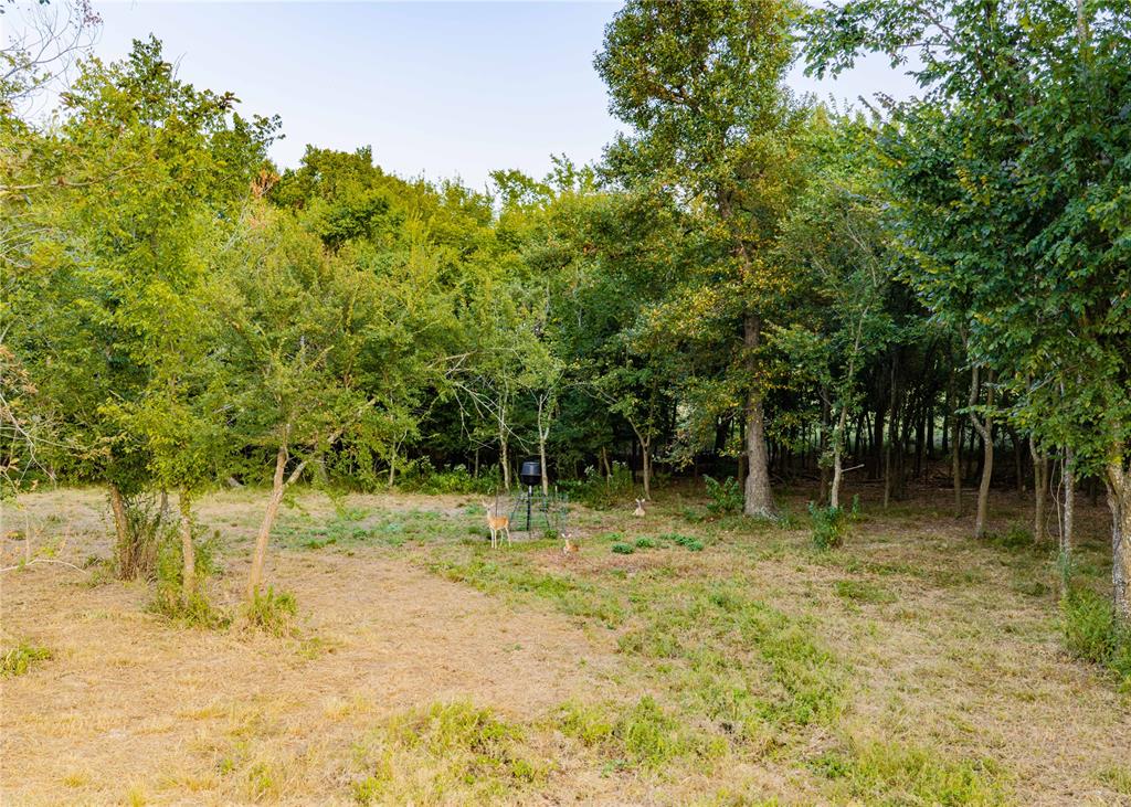 610 County Road 2300 Property Photo 5